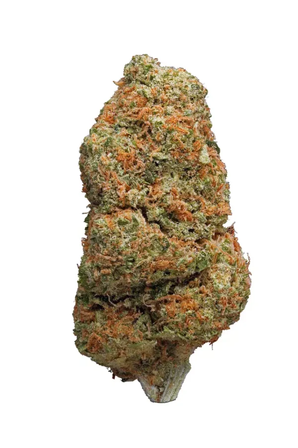 Northern lights, Buy Northern lights online, Northern lights weed strain