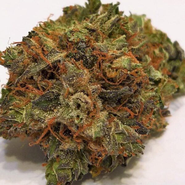 Trainwreck weed strain , Buy Trainwreck weed strain, Order Trainwreck weed strain