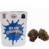 Blue Gushers Strain, Buy Blue Gushers Strain, Blue Gushers weed Strain