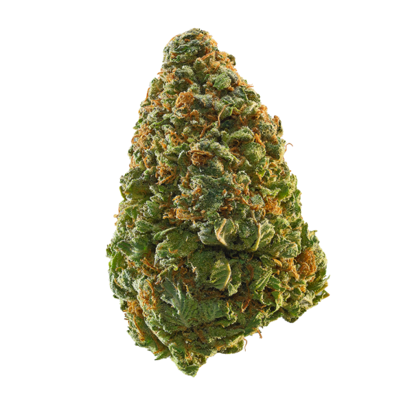 Green Crack weed strain , Buy Green Crack weed strain, Buy Green Crack weed strain online, Buy Green Crack weed strain Australia