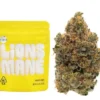 Lions Mane Lemonade Cookies Strain, Buy Lions Mane Lemonade Cookies Strain