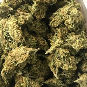 Sour diesel weed strain , Buy Sour diesel weed strain, Sour diesel weed, Sour diesel weed for sale